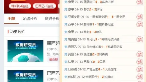 2026新春毛绒黄油墩墩猫新品推荐：带萌宠同行，出行新选择